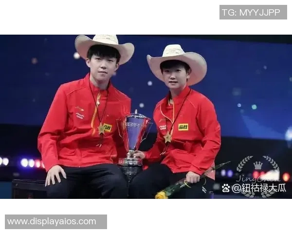 乒乓球传奇：杭州乒乓球队逆袭之路的奋斗与荣耀